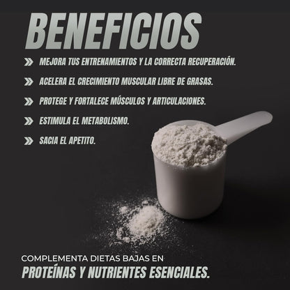 Healthy Fusion Whey Protein | Proteína Whey Pura Con Colágeno + Magnesio | Mejora Tus Entrenamientos | Protege Y Aumenta La Masa Muscular | 1000G De Proteína (Chocolate)